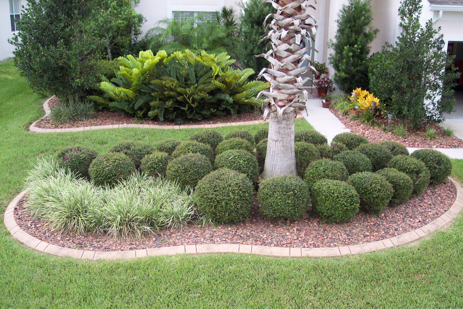 Tropical bed border with sweeping curves