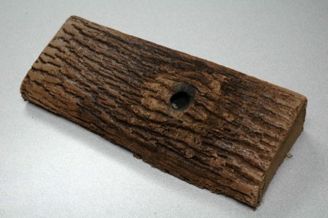 Bark Texture